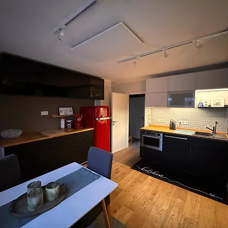 Airport Loft Apartment